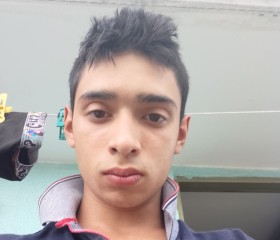 Camilo, 20 лет, Pereira