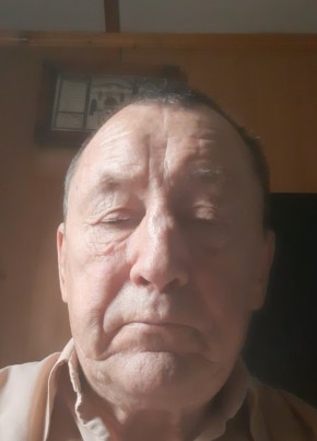Толян, 70, Россия, Самара