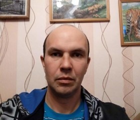 Александр, 45 лет, Задонск