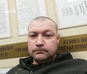 Дмитрий Пайвин, 39 лет, Челябинск