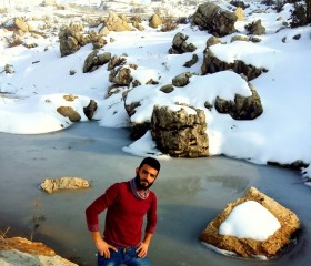 rawad nassif, 37, Lebanon (State of Indiana)