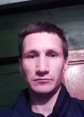 Ренат, 39, Россия, Сеченово