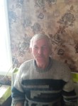 Виктор, 66 лет, Омск
