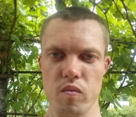 Сергей Давыдов, 35 лет, Конышевка