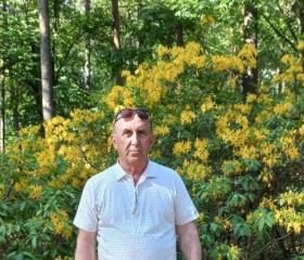 Борис, 62 года, Горад Мінск