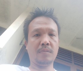 Royhutapea, 40 лет, Djakarta