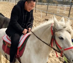 我路虎, 40, Qingyang