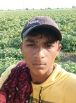Kirpal Paraliya, 18 лет, Limbdi