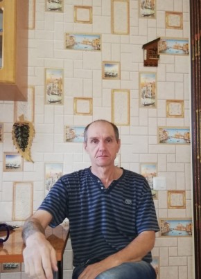 Александр Федин, 49, Россия, Узловая