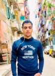 Hassan ali ali a, 20 лет, الإسكندرية