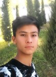 Asad, 23 года, Qarshi