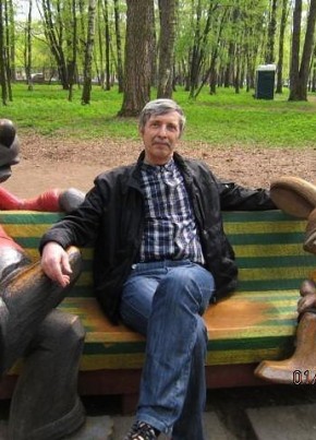 Владимир Алексев, 71, Россия, Ногинск