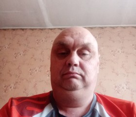 Анатолий, 49 лет, Гороховец