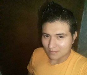 Jhonatan avella, 28 лет, Mérida