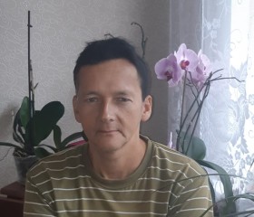 Сергей Ковалев, 61 год, Советск (Калининградская обл.)