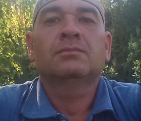 Радим, 42 года, Алапаевск