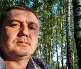 Алексей, 42 года, Горад Гомель