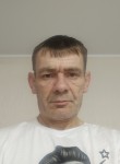 Николай Бричевой, 49 лет, Тюмень