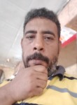 مرسي ابو حوده, 48 лет, الإسكندرية