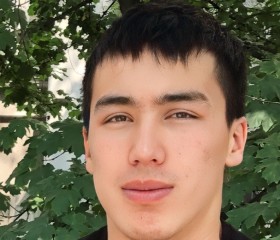 Мадияр, 20 лет, Бишкек