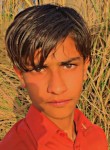Majid Ali, 18 лет, کراچی