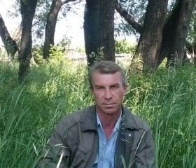 Андрей, 51 год, Шемонаиха