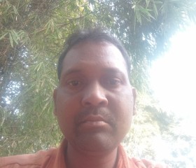 Pratap Singh mar, 38 лет, Jabalpur