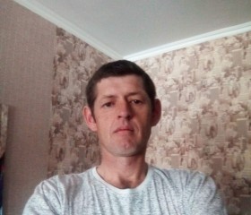 Николай, 41 год, Бийск