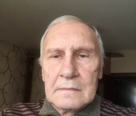 Владимир, 74 года, Новосибирск