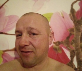 Андрей, 42 года, Электросталь