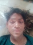 Sarveshkumar, 31 год, Ahmedabad