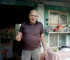 Михаил, 73 года, Ильский