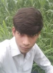 RajaTalha, 23 года, لاہور