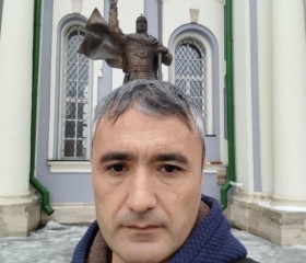 Раман, 42 года, Советск (Тульская обл.)