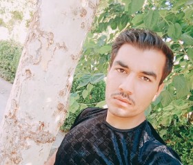 Hamid, 26 лет, شیراز
