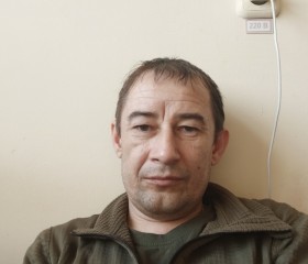 Олег, 43 года, Камышин