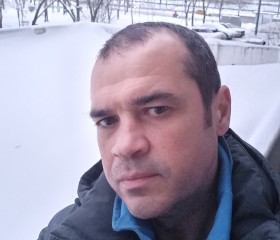 Андрей, 41 год, Переславль-Залесский