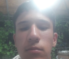 Fil, 20, Shymkent