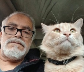 Karim, 65, Mostaganem