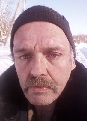Михаил Львов, 54, Россия, Переславль-Залесский