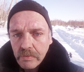 Михаил Львов, 54 года, Переславль-Залесский