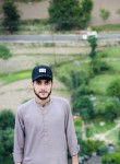 Taajdaar, 24 года, ایبٹ آباد‎