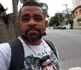 Dogão, 52 года, São Paulo capital