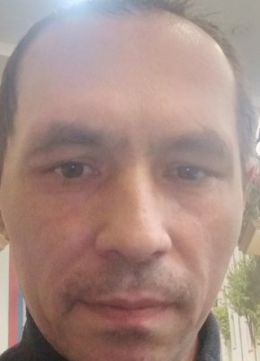 Денис, 41, Россия, Нижний Тагил