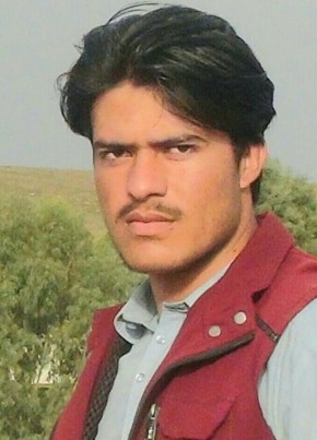 Ziaulhaq, 18, جمهورئ اسلامئ افغانستان, کابل