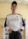 Димарик - Курск