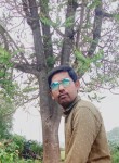 Vishal Rajput, 31 год, Ahmedabad