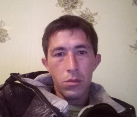 тимур, 37 лет, Горад Кобрын