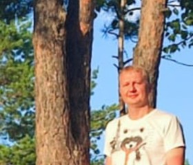 Сергей, 41 год, Асбест