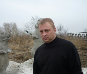Степан, 40 лет, Новосибирск